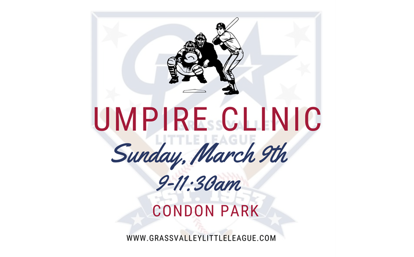 Umpire Clinic